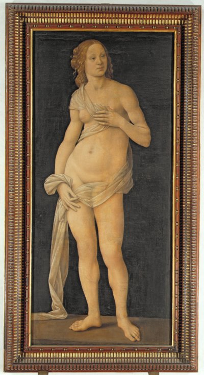 Venus by Lorenzo di Credi